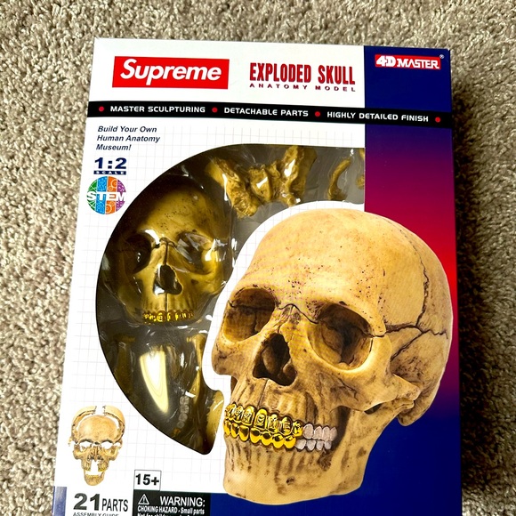 Supreme 4D Model Human Skull シュプリーム ガイコツ